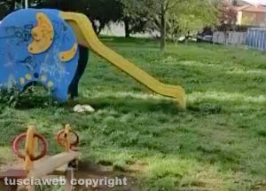 Viterbo - Sporcizia in un parco giochi in via Monti Cimini
