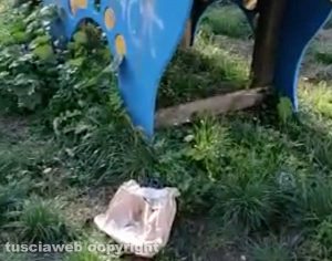 Viterbo - Sporcizia in un parco giochi in via Monti Cimini
