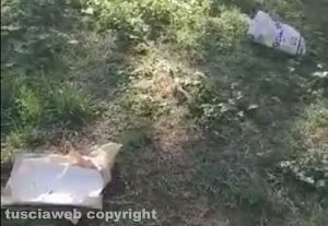Viterbo - Sporcizia in un parco giochi in via Monti Cimini