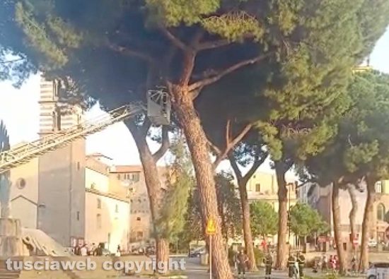 Viterbo - Vigili del fuoco al Sacrario