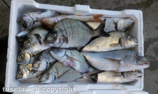 Montalto Marina - Giornata di pesca