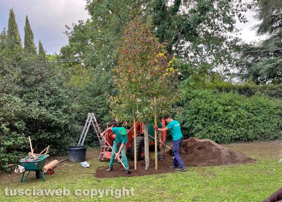 Capranica - L’evento "Alberi in festa” al vivaio Nicolini