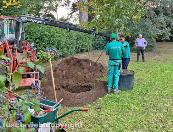Capranica - L’evento "Alberi in festa” al vivaio Nicolini