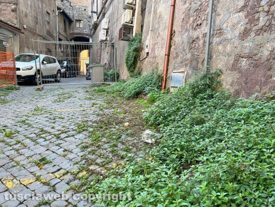 Viterbo - Via dei Magazzini