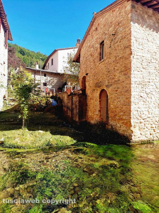 Rasiglia