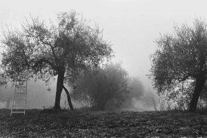 Uno scatto di Daniele Vita