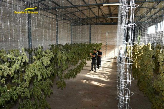 Viterbo - La droga sequestrata dalla finanza