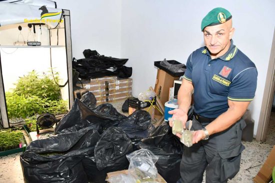 Viterbo - La droga sequestrata dalla finanza