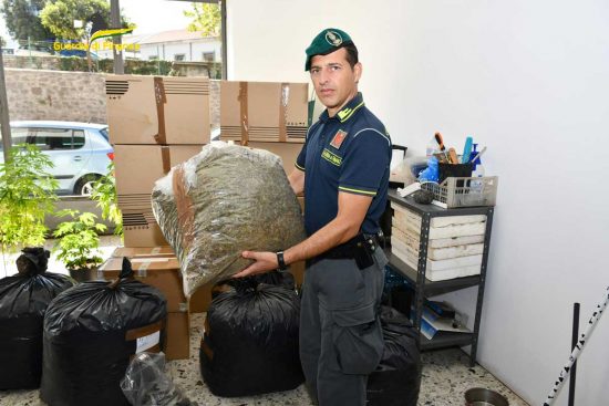 Viterbo - La droga sequestrata dalla finanza