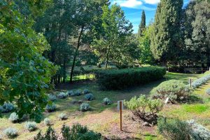 Il giardino nel Bosco