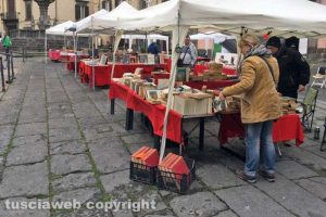 Paperonly in piazza Fontana Grande