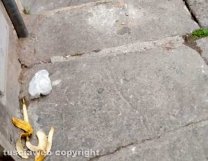 Viterbo - Sporcizia in via Mazzetta
