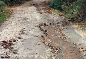 Capranica - La strada dissestata in località castagni dell' Ospedale 1