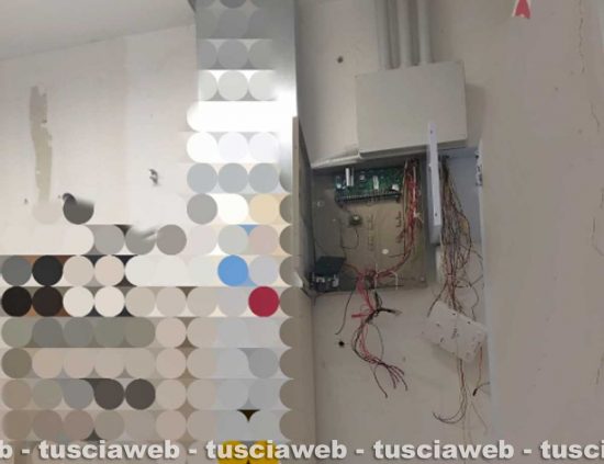 Istituto di vigilanza privata - Il tentativo di furto in un negozio di casalinghi