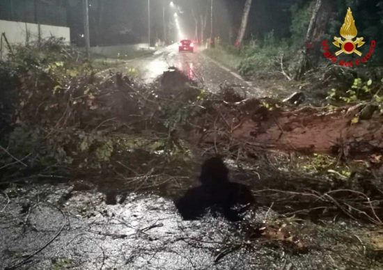 Maltempo, gli interventi dei vigili del fuoco
