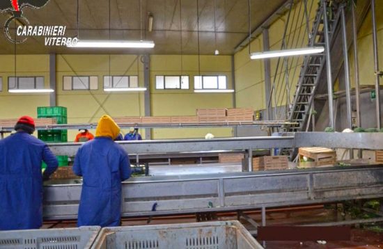 Viterbo - Braccianti agricoli sfruttati - Il blitz dei carabinieri