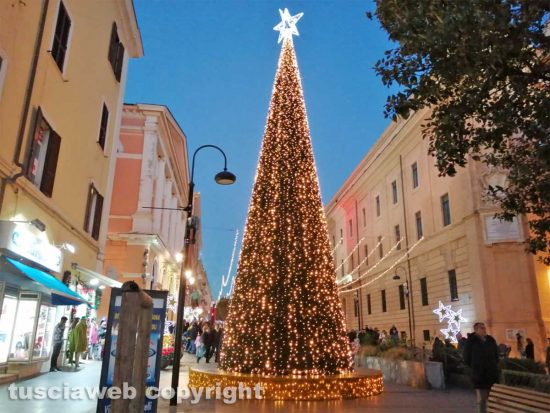 Le luminarie a Civitavecchia - L'albero di Natale