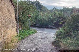 Viterbo - Incuria in via Palmanova