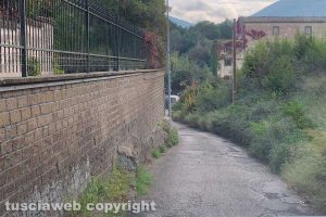 Viterbo - Incuria in via Palmanova