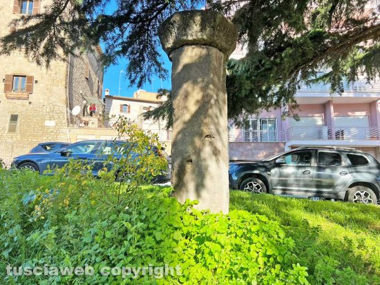 Viterbo - La colonna di Ser Monaldo sommersa dall'erba
