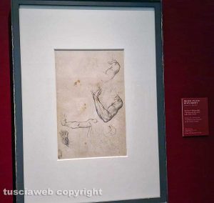 La mostra su Michelangelo