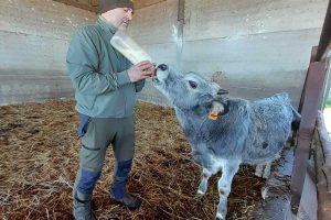 Tarquinia - La mattinata all'Università agraria