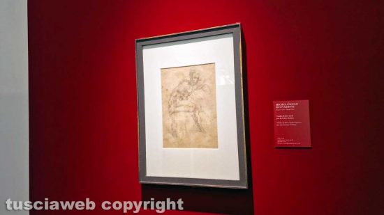 La mostra su Michelangelo