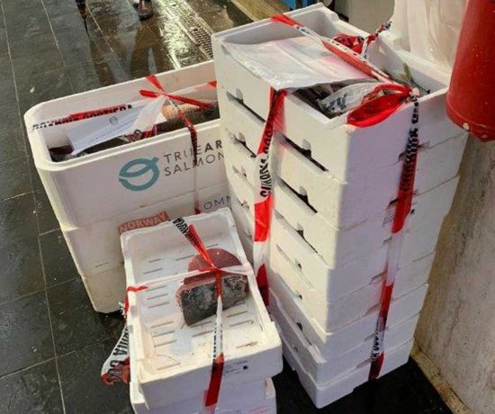 Operazione "Senza traccia" - Controlli della guardia costiera