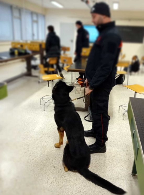 Carabinieri - Controlli nelle scuole