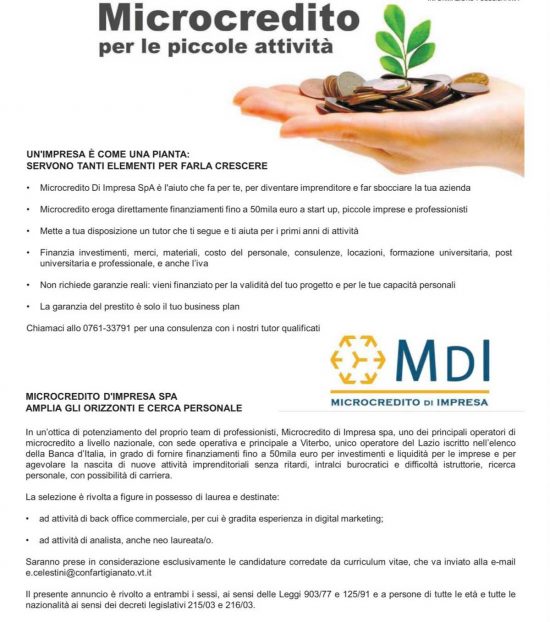 Microcredito di Impresa