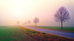 Nebbia
