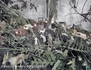 Il presepe di Carletto Meconi