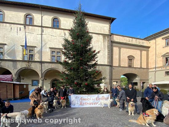 Viterbo - La passeggiata di Natale di 'Amici Golden