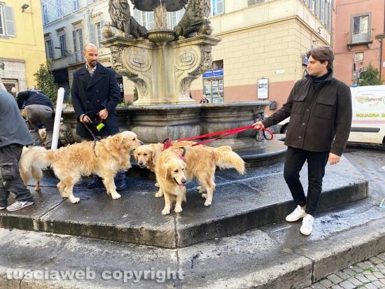 Viterbo - La passeggiata di Natale di 'Amici Golden