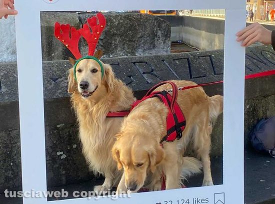 Viterbo - La passeggiata di Natale di 'Amici Golden