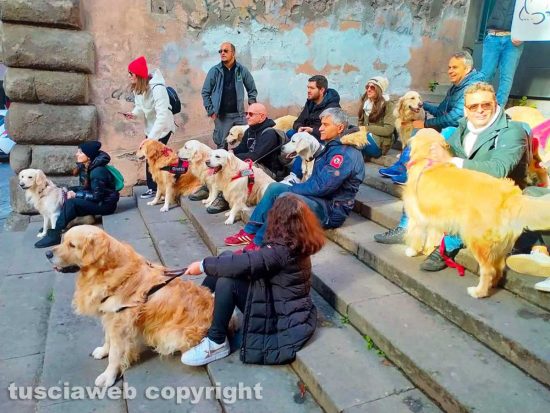 Viterbo - La passeggiata di Natale di 'Amici Golden