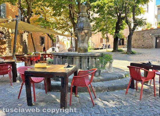 Viterbo - Ristorante Il Gargolo