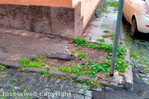 Viterbo - Incuria in via Santa Rita