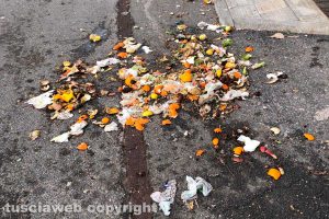 Viterbo - Il passaggio dei cinghiali in via Genova