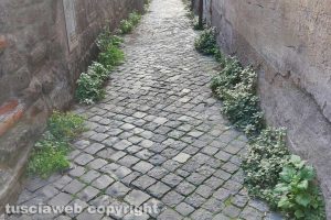 Viterbo - Incuria in via Del Lauro