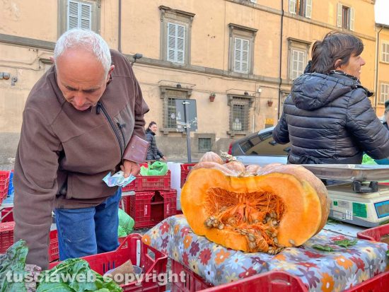Viterbo - Il mercato di San Faustino
