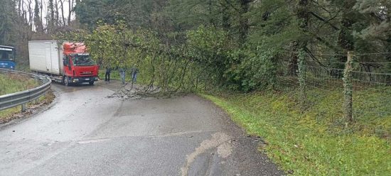 Maltempo - Alberi caduti in strada 