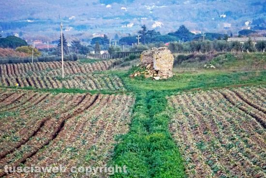 Le masse di San Sisto