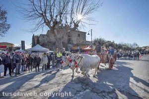 Tuscania - Sagra della frittella e la sfilata in occasione di Sant’Antonio Abate