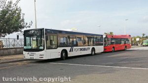 Civitavecchia - I bus di port mobility