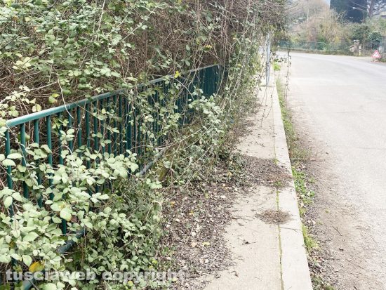 Viterbo - Rovi lungo il marciapiede per accedere alla Palanzana