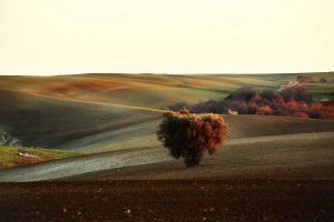 Tuscania - Pian Di Vico