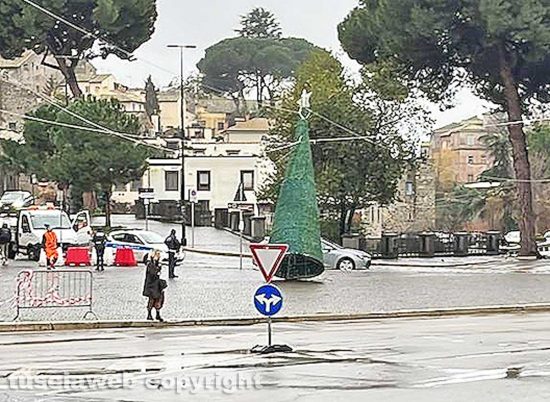 Viterbo - Albero di Natale pericolante al Sacrario