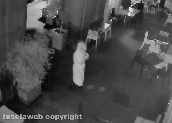 Viterbo - Furto del divano al Caffè Grandori