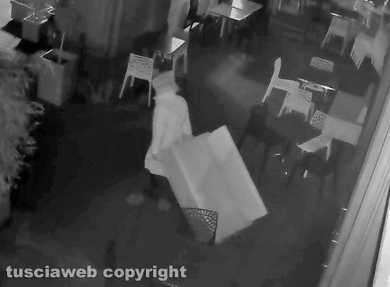 Viterbo - Furto del divano al Caffè Grandori